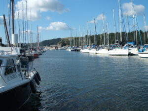 Noss on Dart Marina