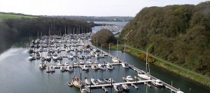 Newyland