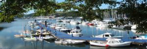 River Dart