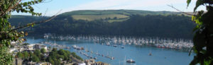 River dart from the hill side