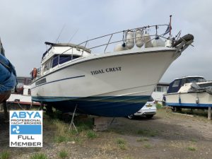 Princess 41